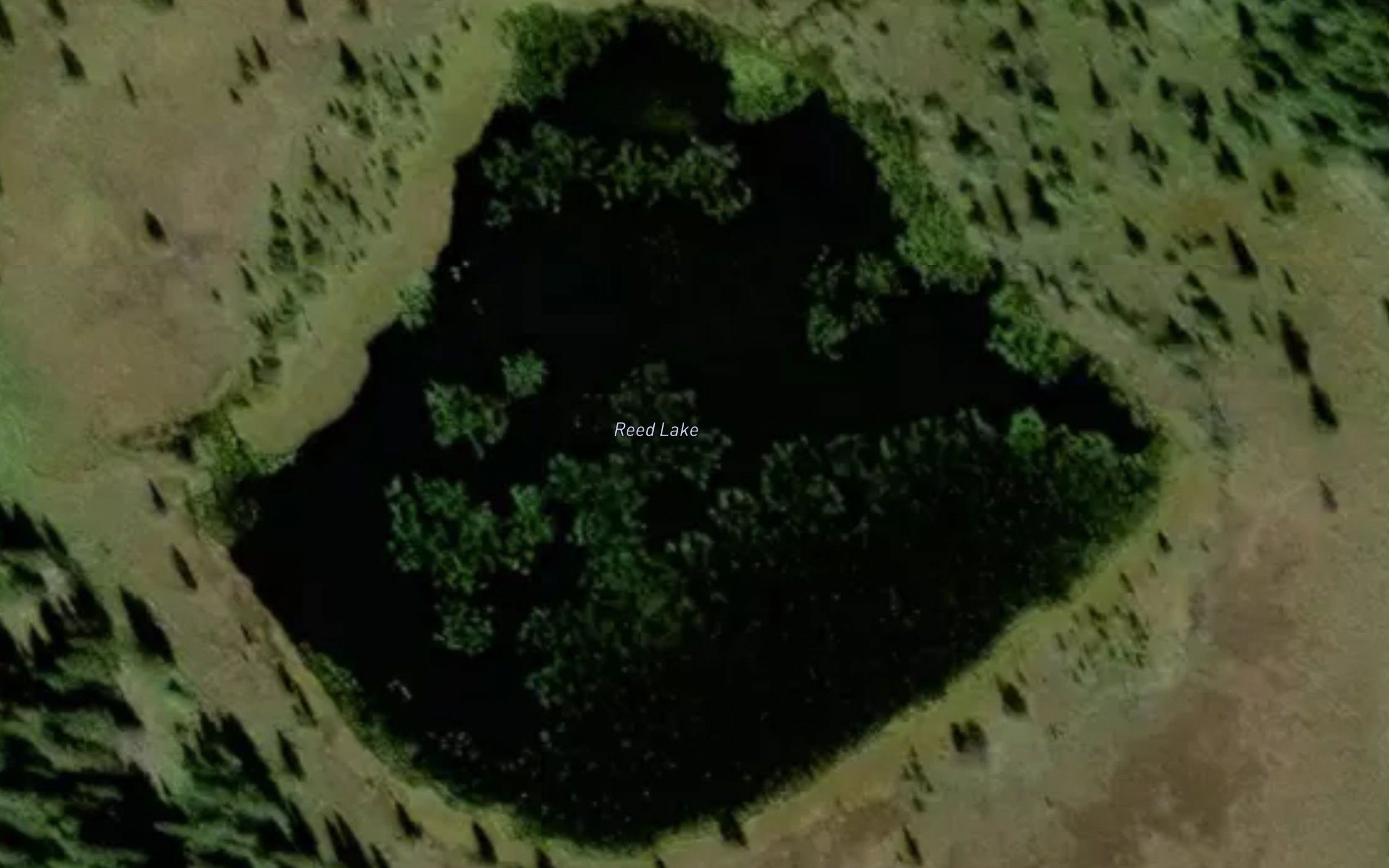 Reed Lake