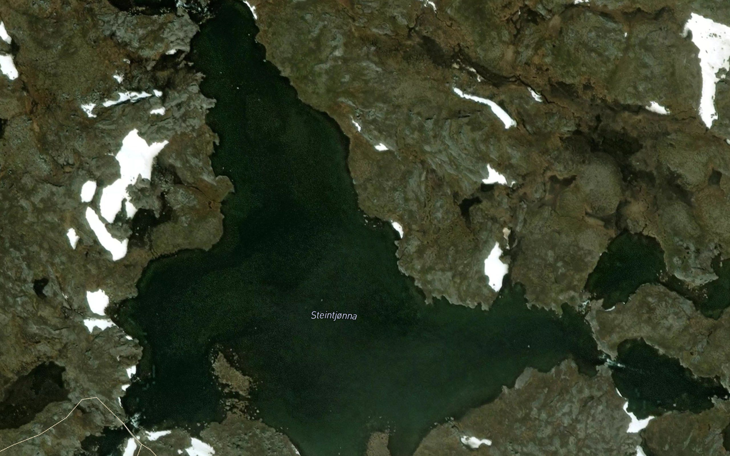 Steintjorna