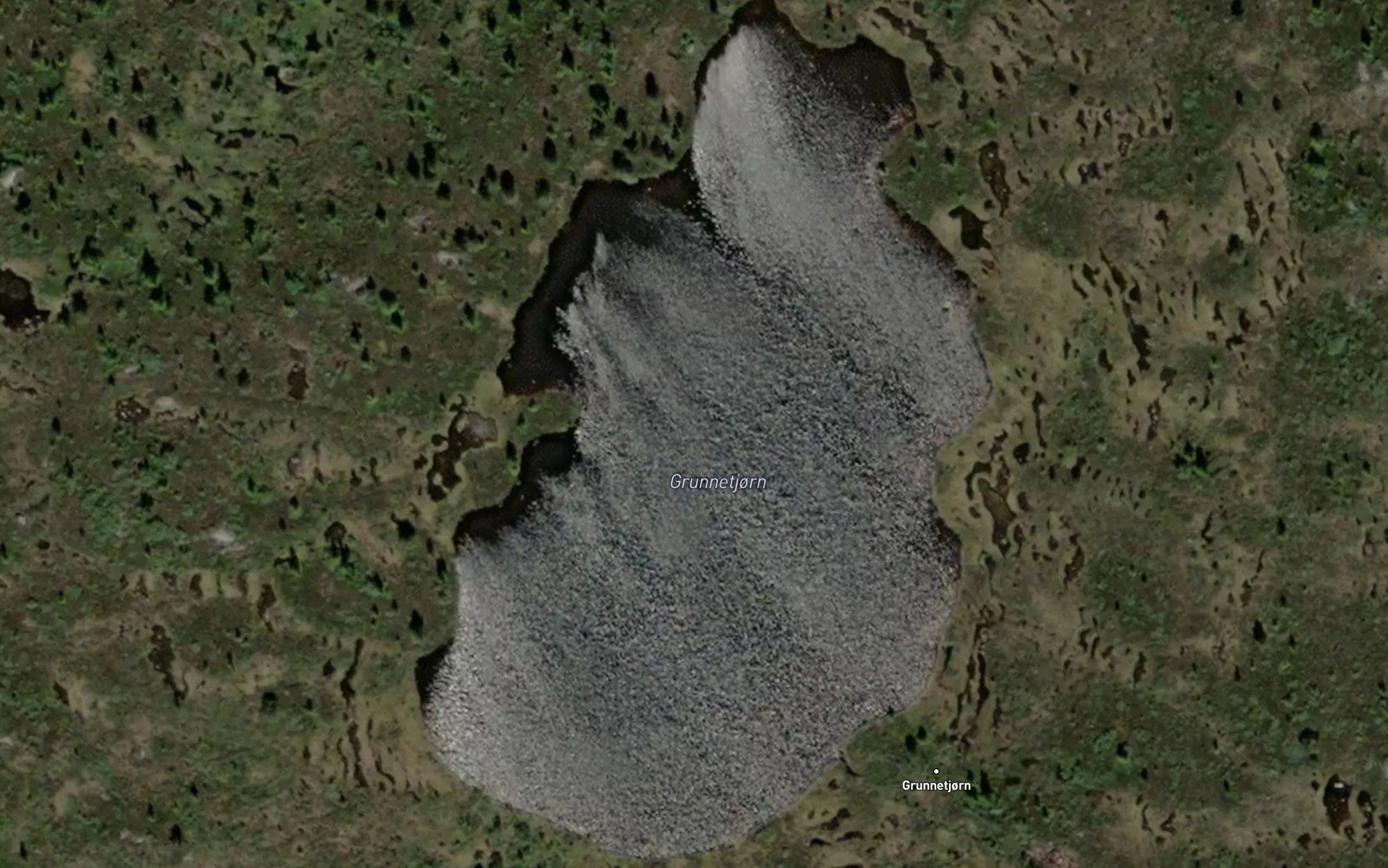 Grunnetjorn