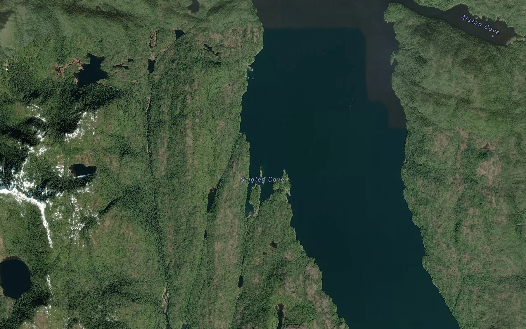 Satellite map of the Srigley Cove