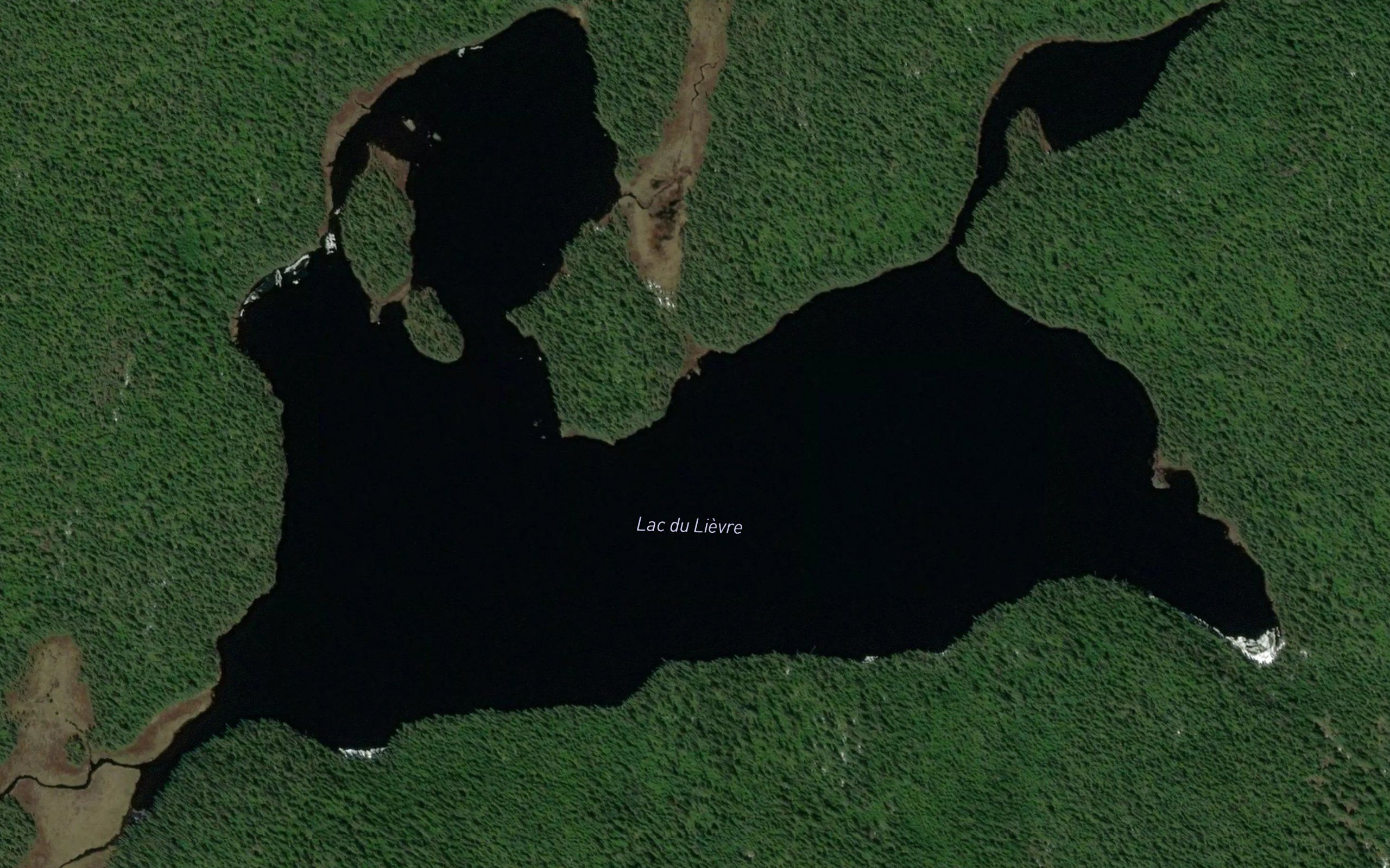 Lac du Lievre