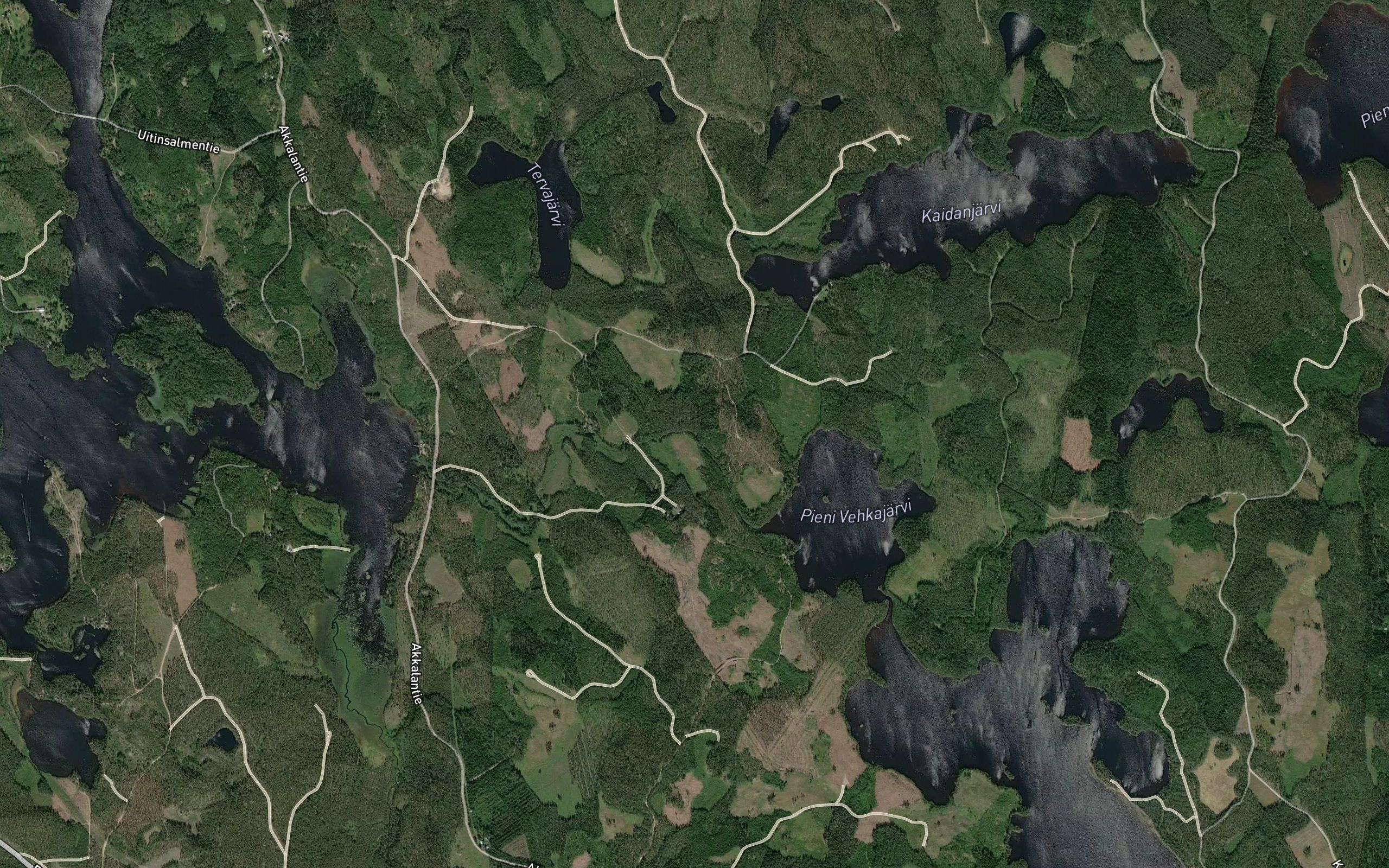 Uittoruuhi