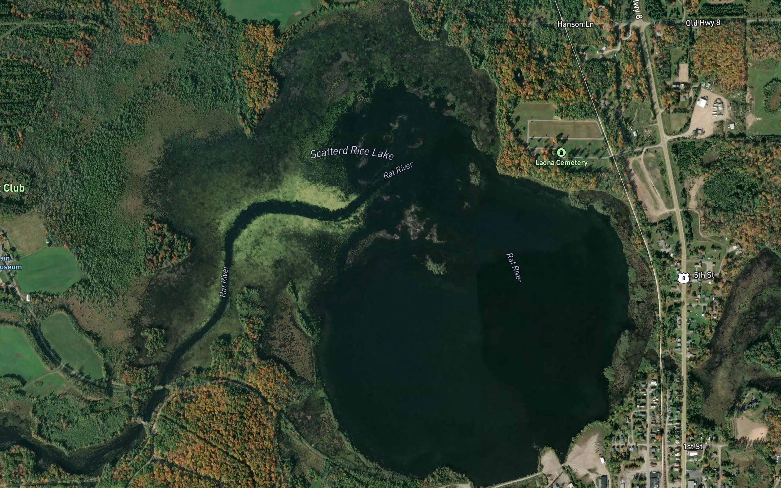 Scattered Rice Lake