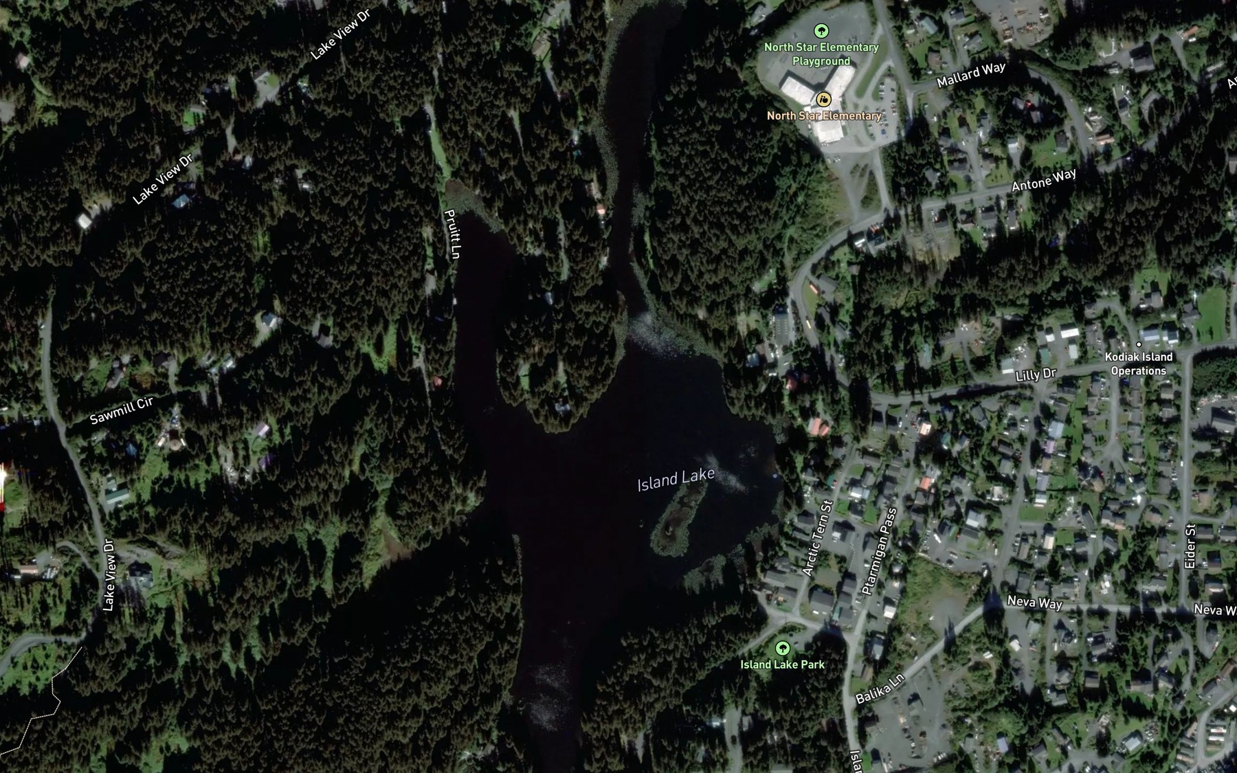 Satellite map of the Island Lake