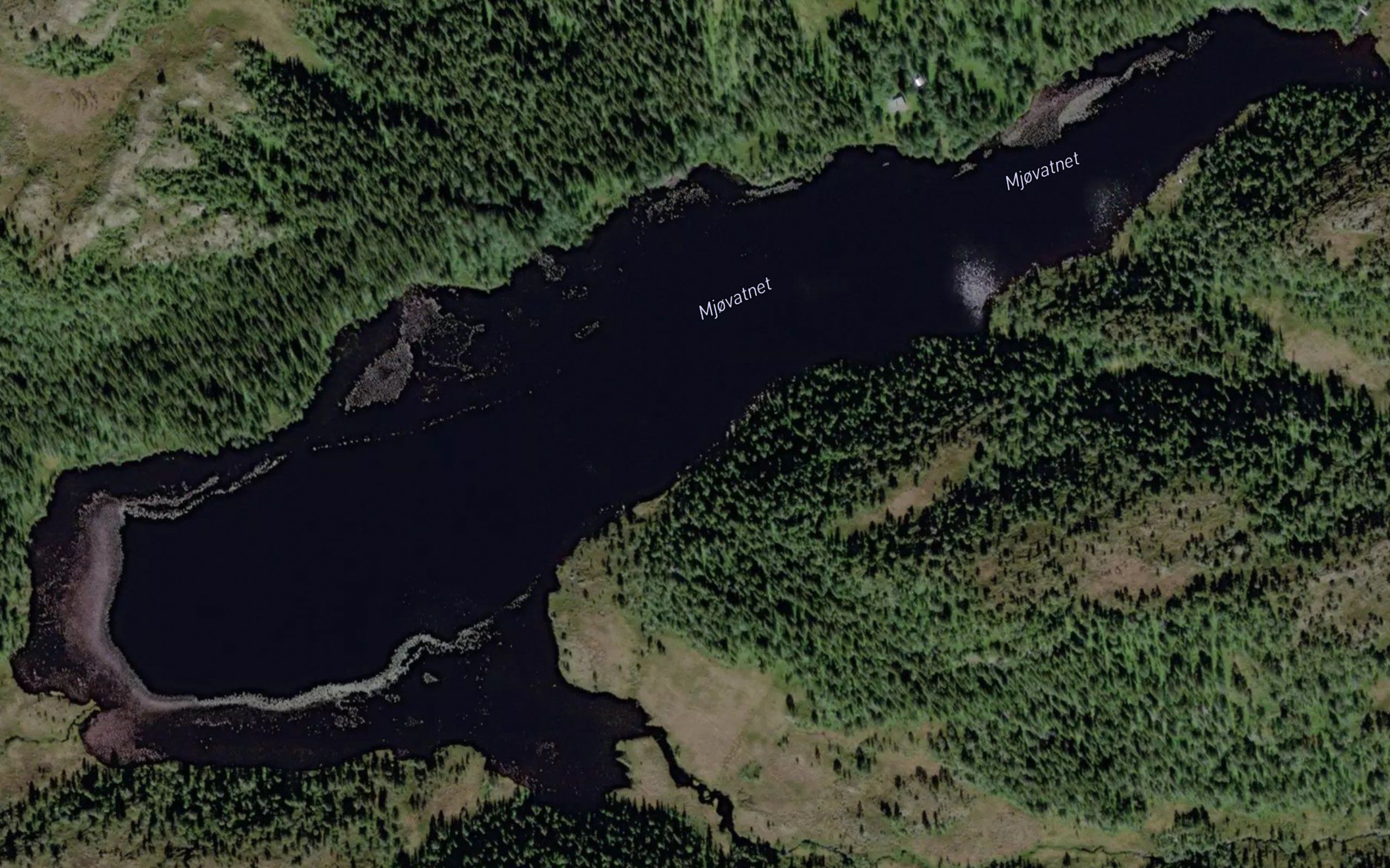 Mjovatnet