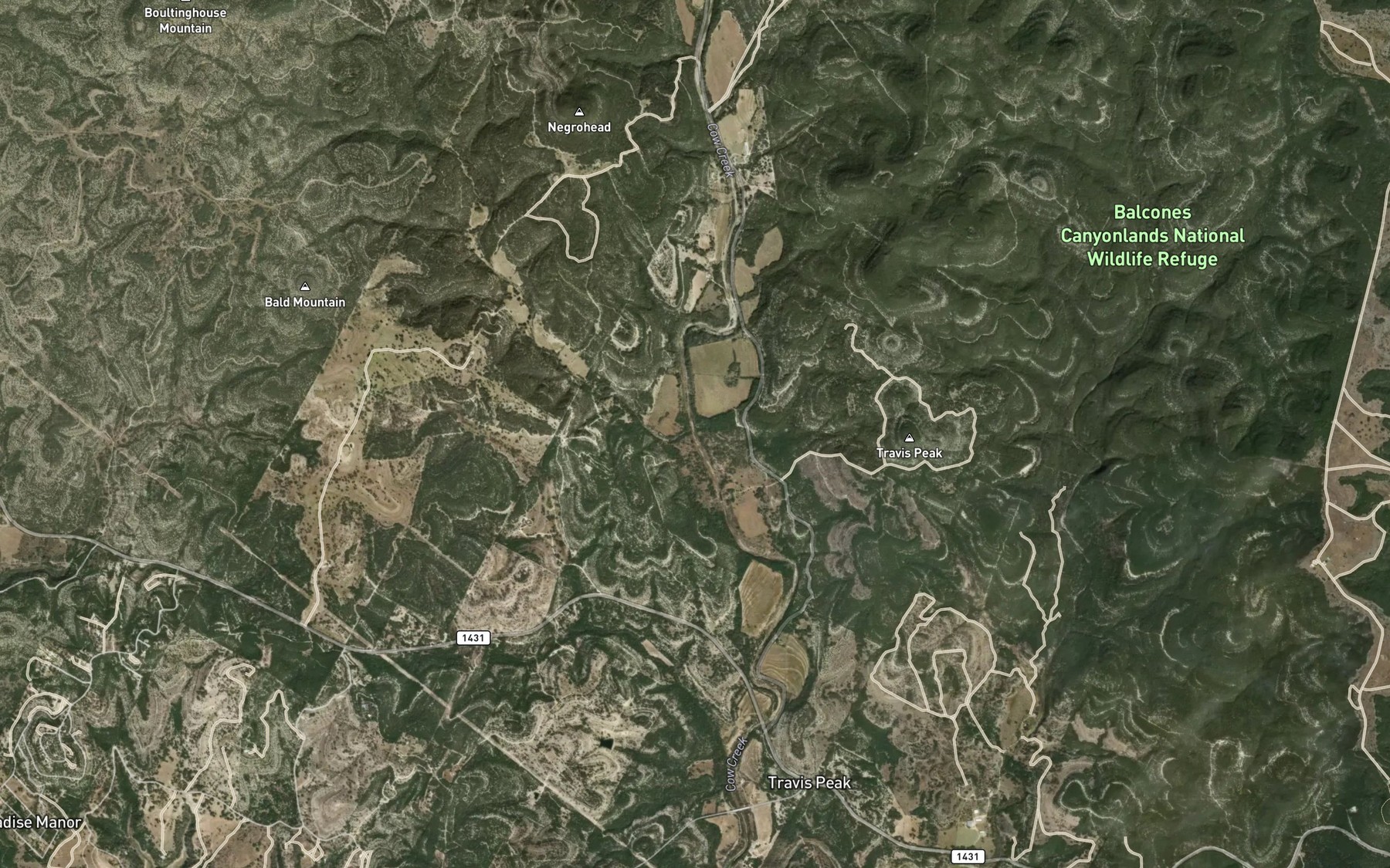 Satellite map of the Negro Branch