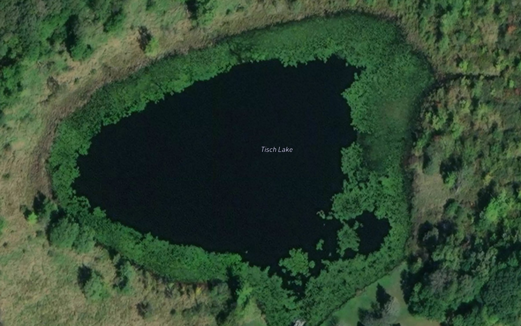 Satellite map of the Tisch Lake