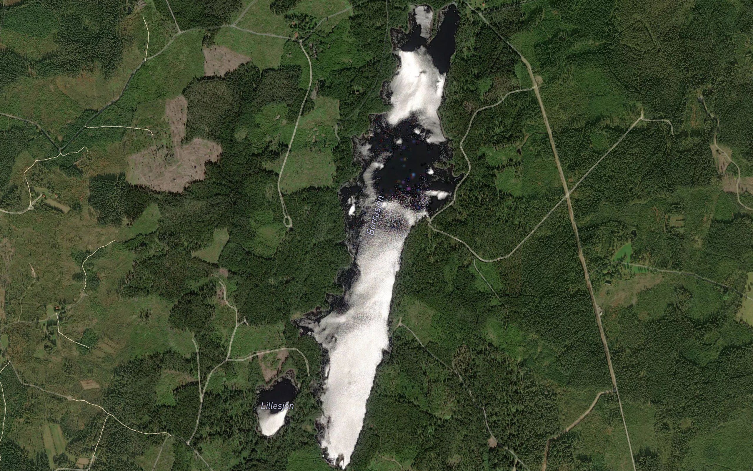 Borrasjon