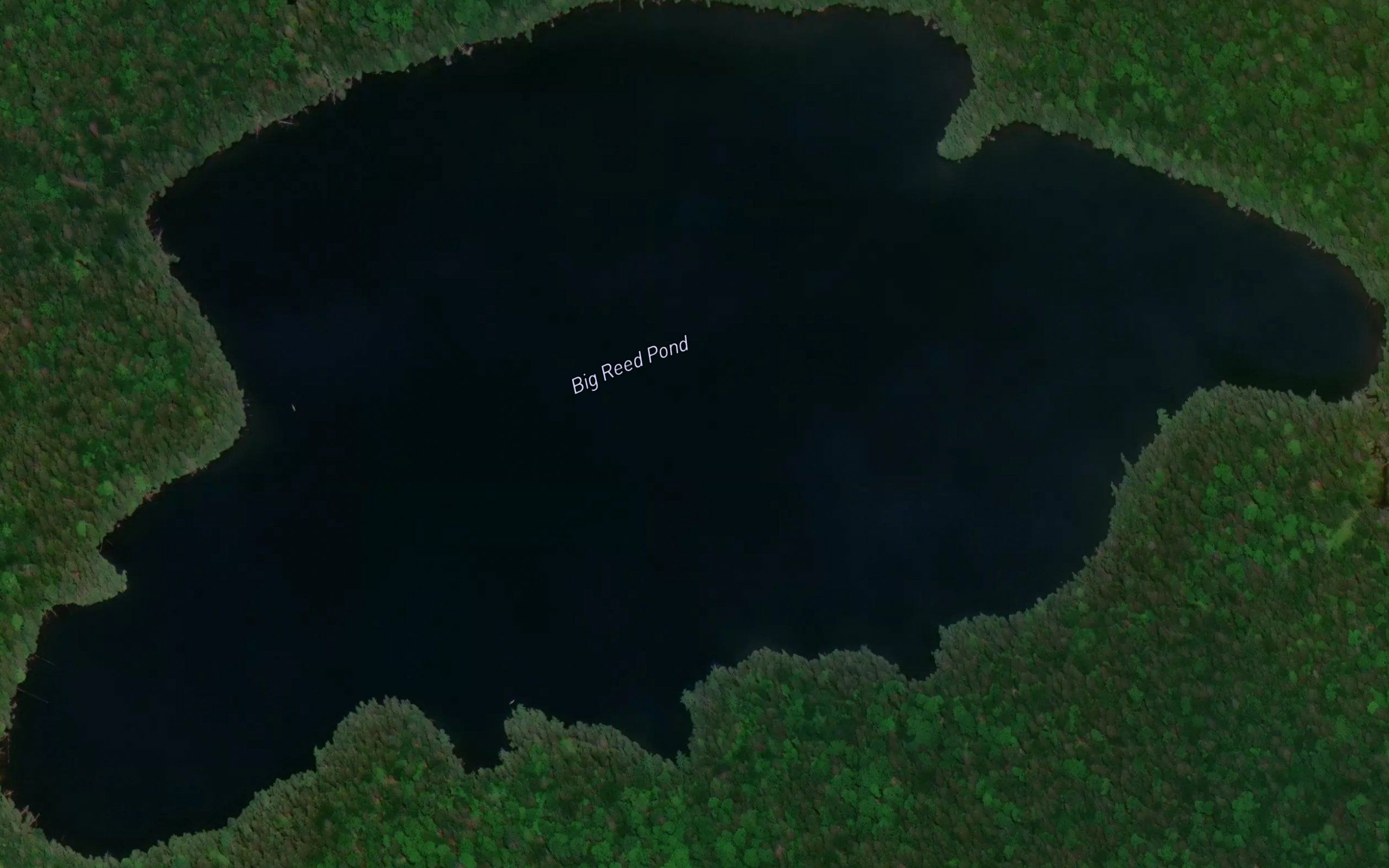 Big Reed Pond