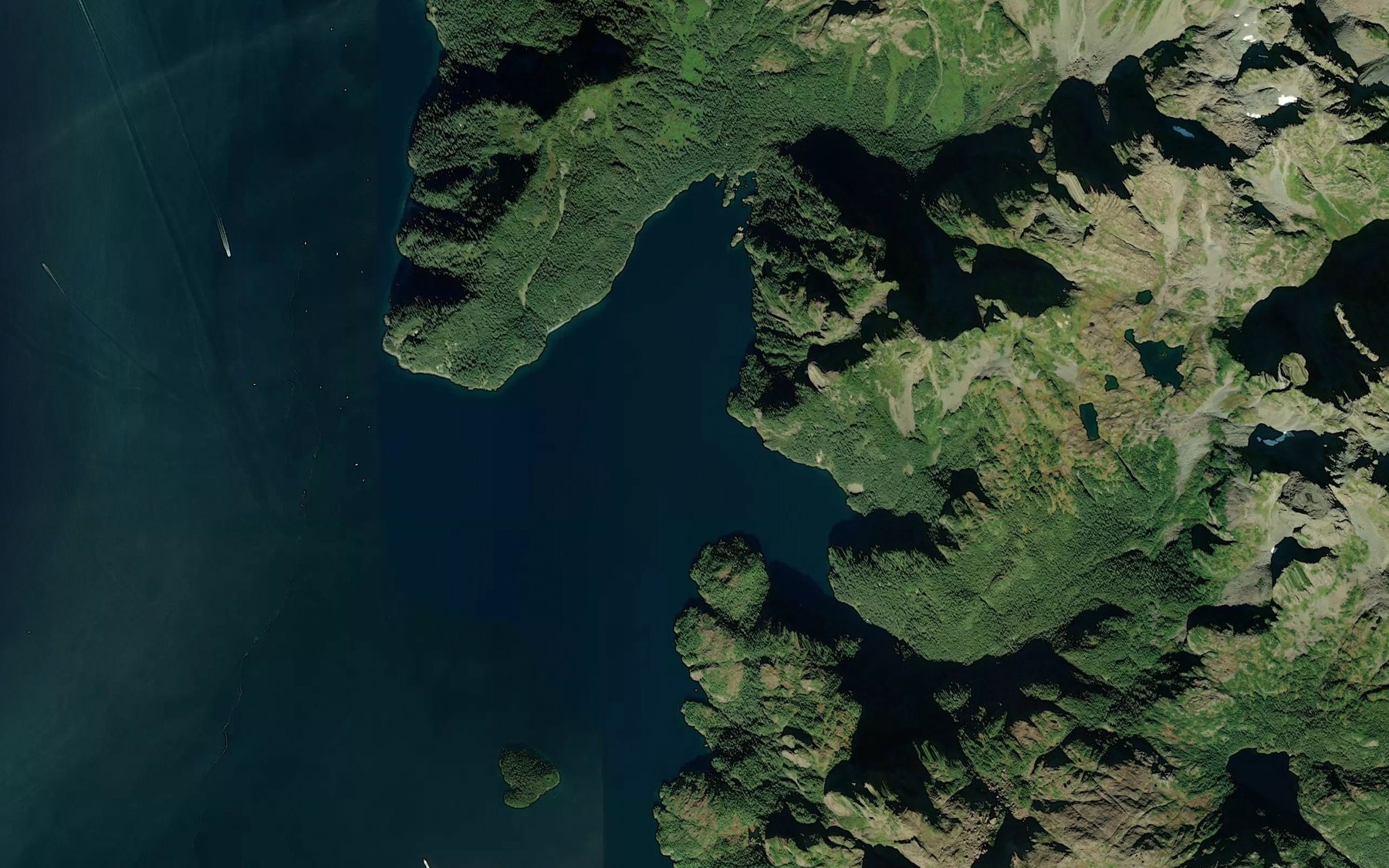 Satellite map of the Humpy Cove