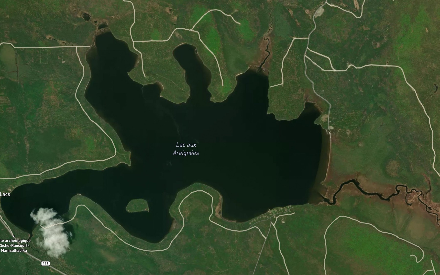 Satellite map of the Lac aux Araignees