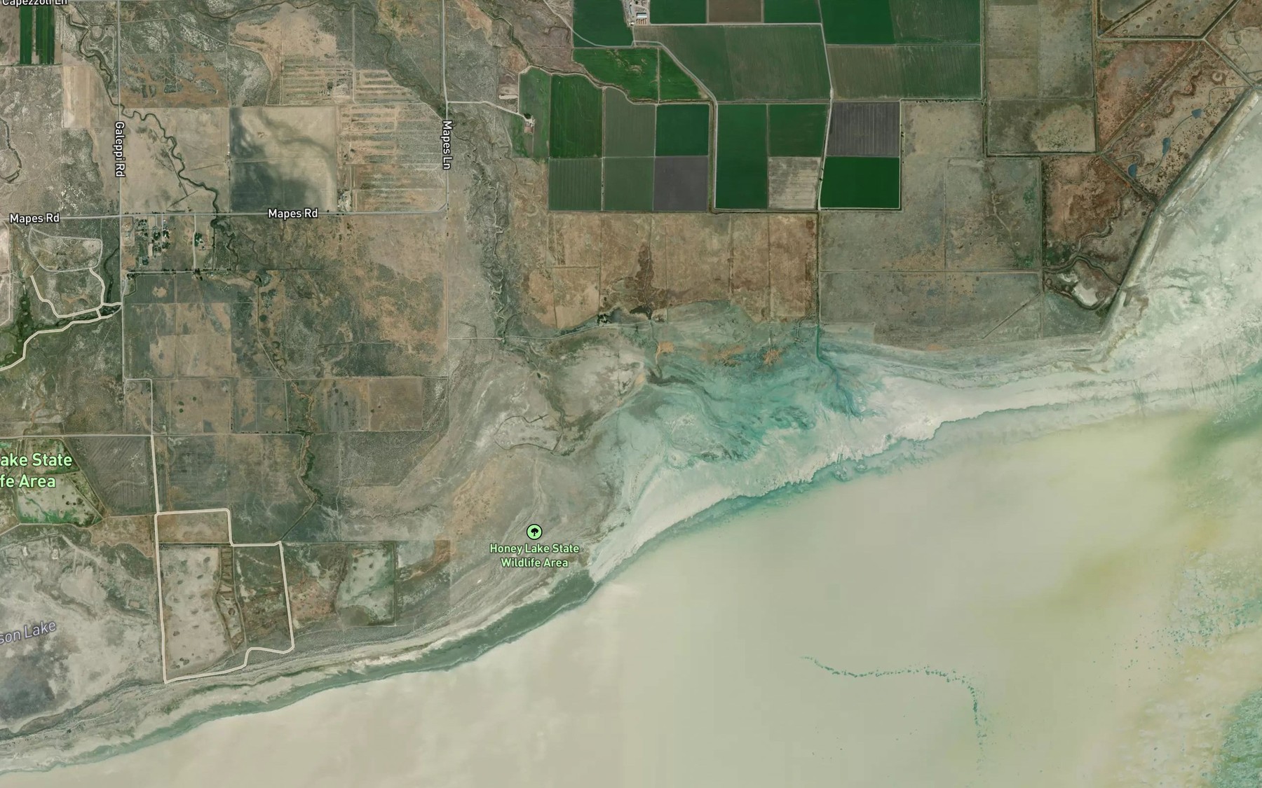Satellite map of the Whitehead Slough