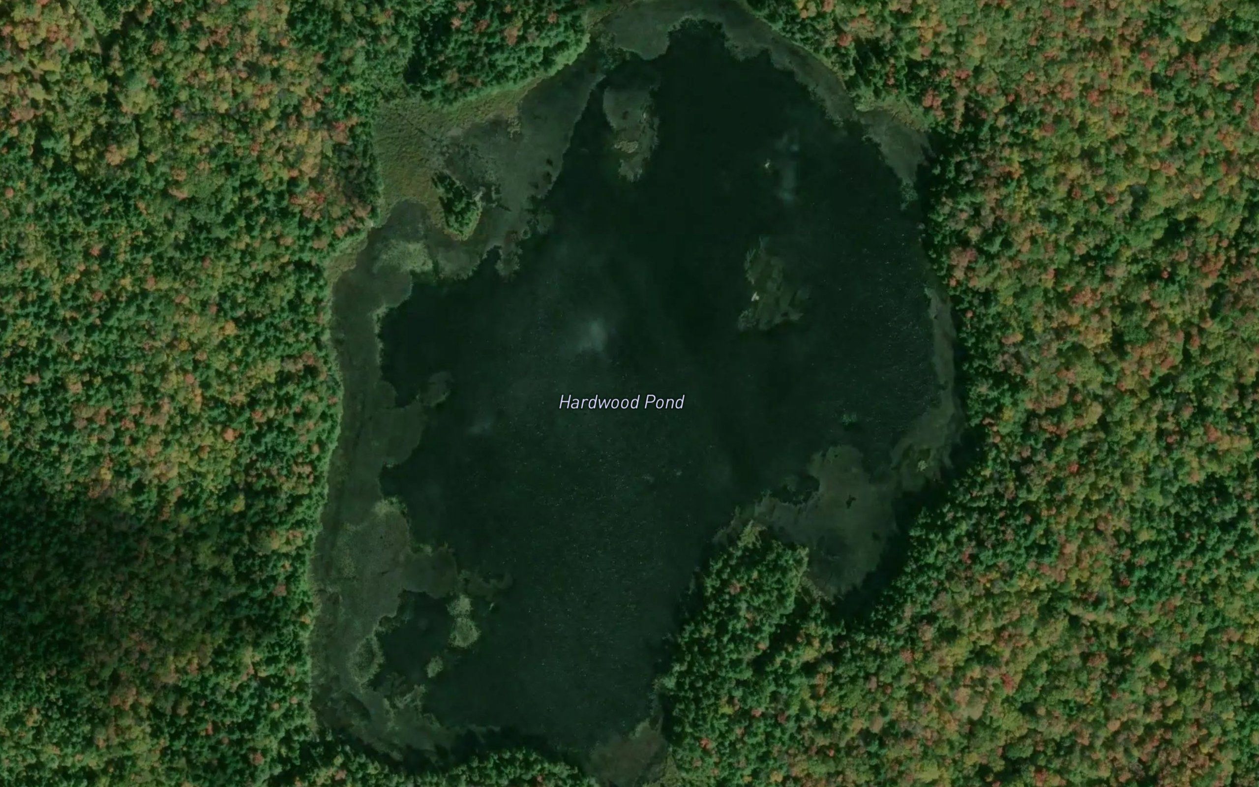 Hardwood Pond