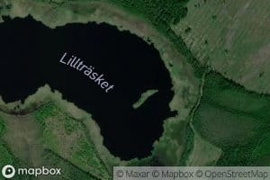 Lilltrasket