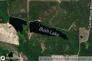 Bush Lake