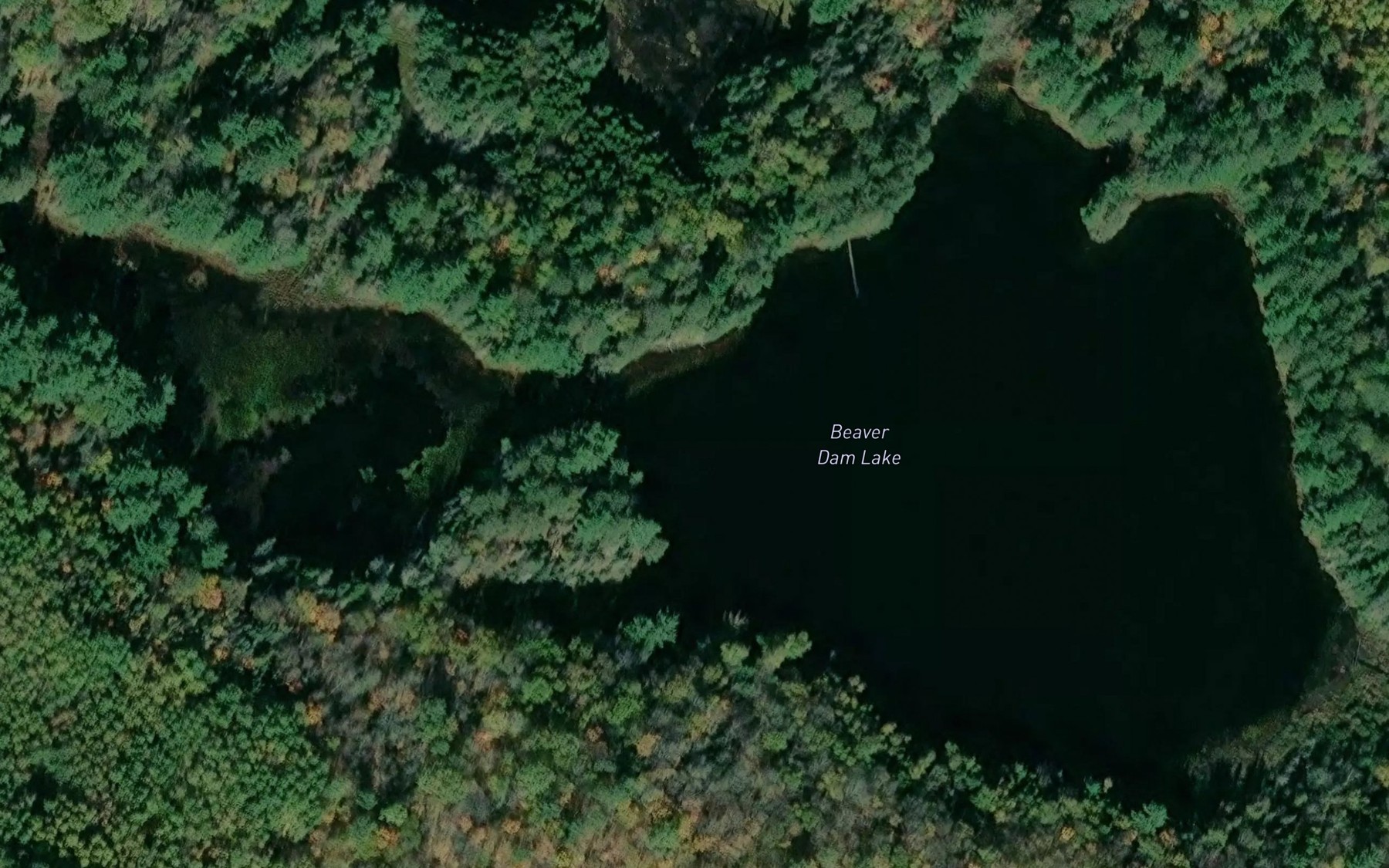 Satellite map of the Beaver Dam Lake