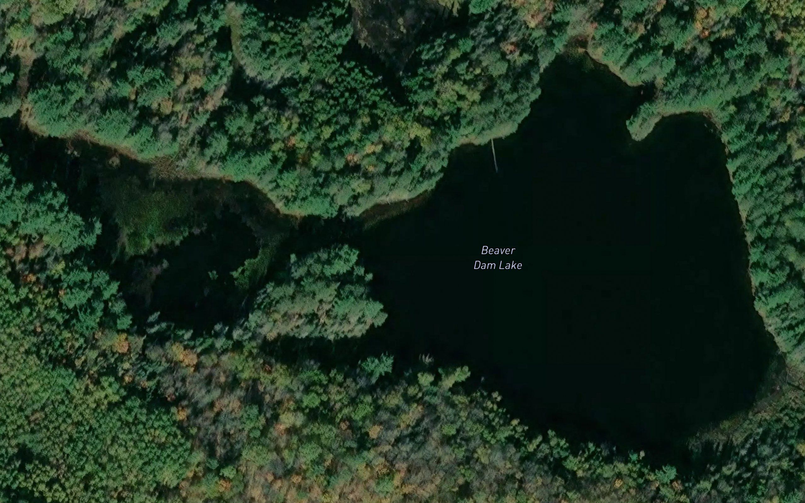 Beaver Dam Lake