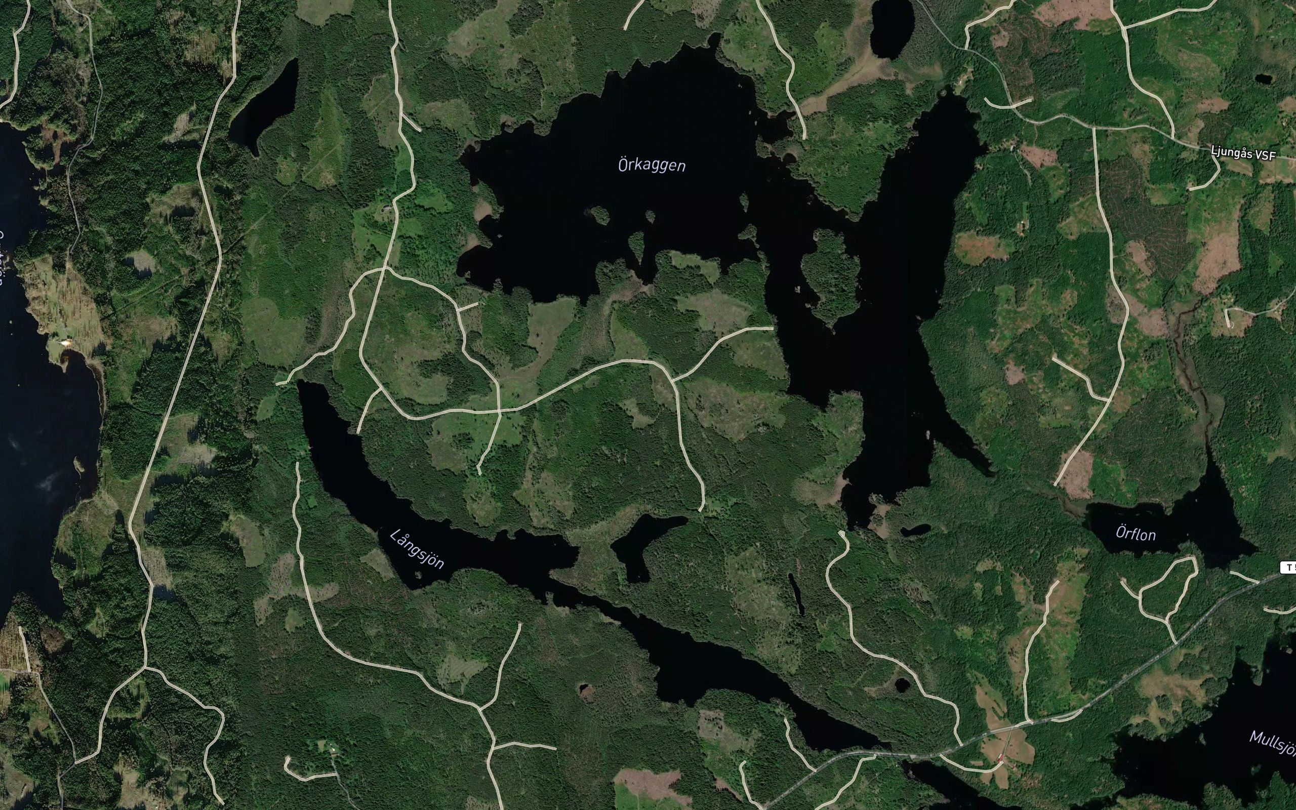 Langsjon