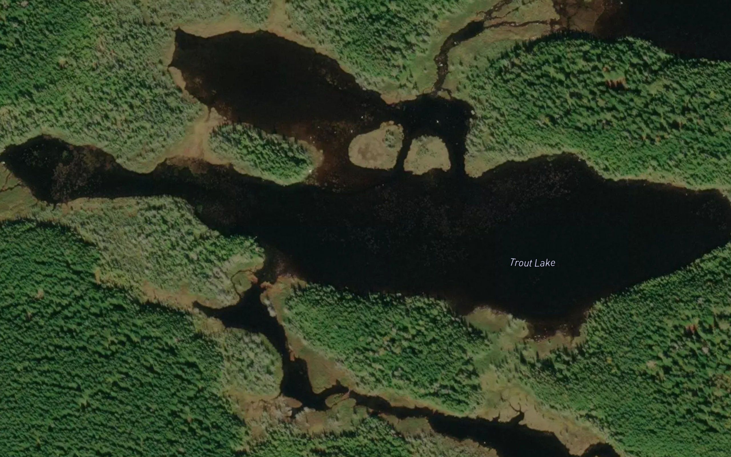 Trout Lake