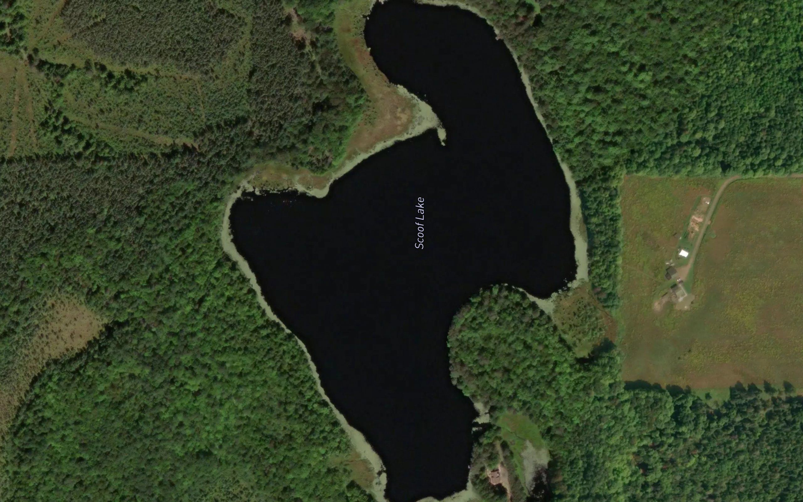 Scoof Lake