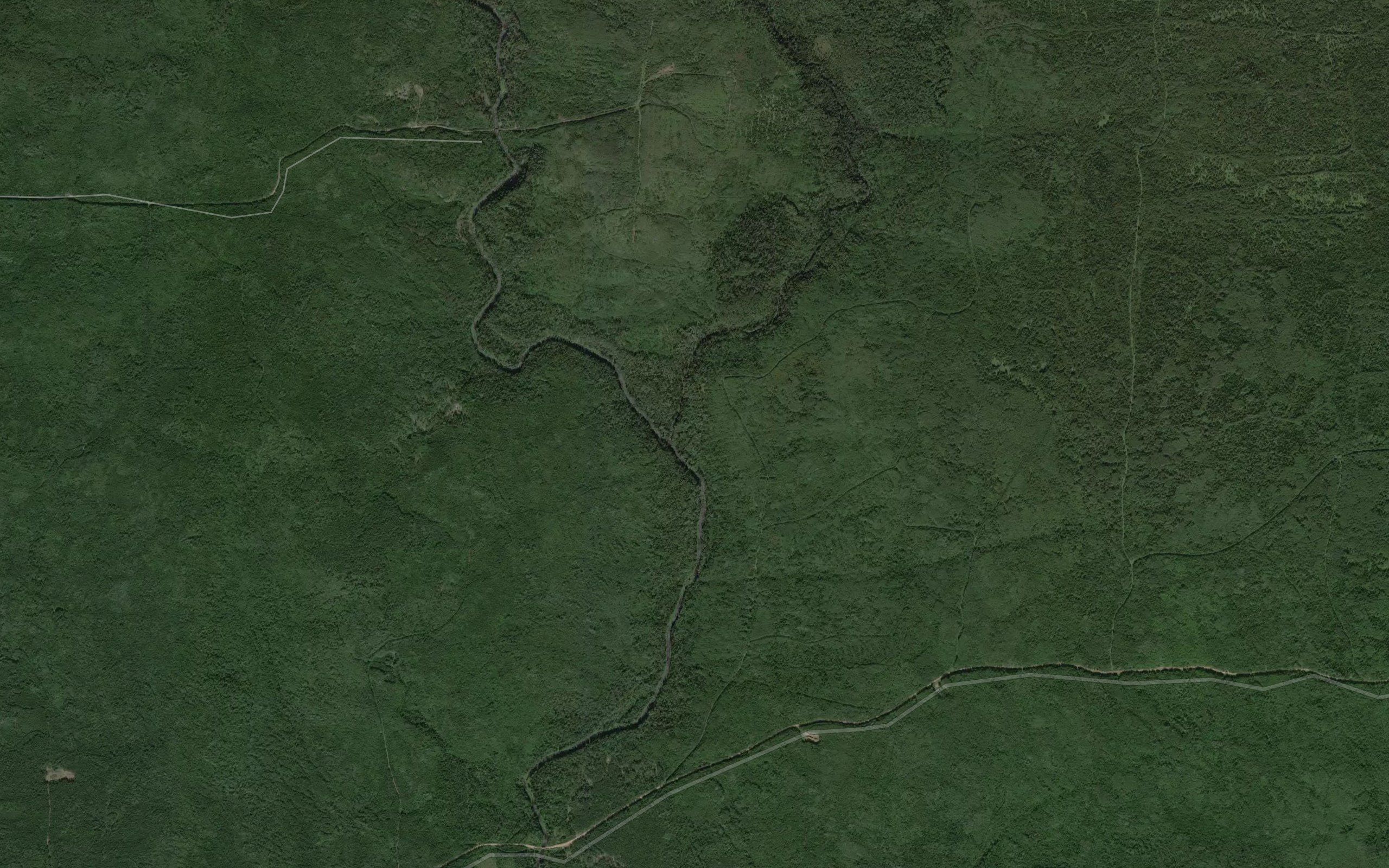 Kepolichet