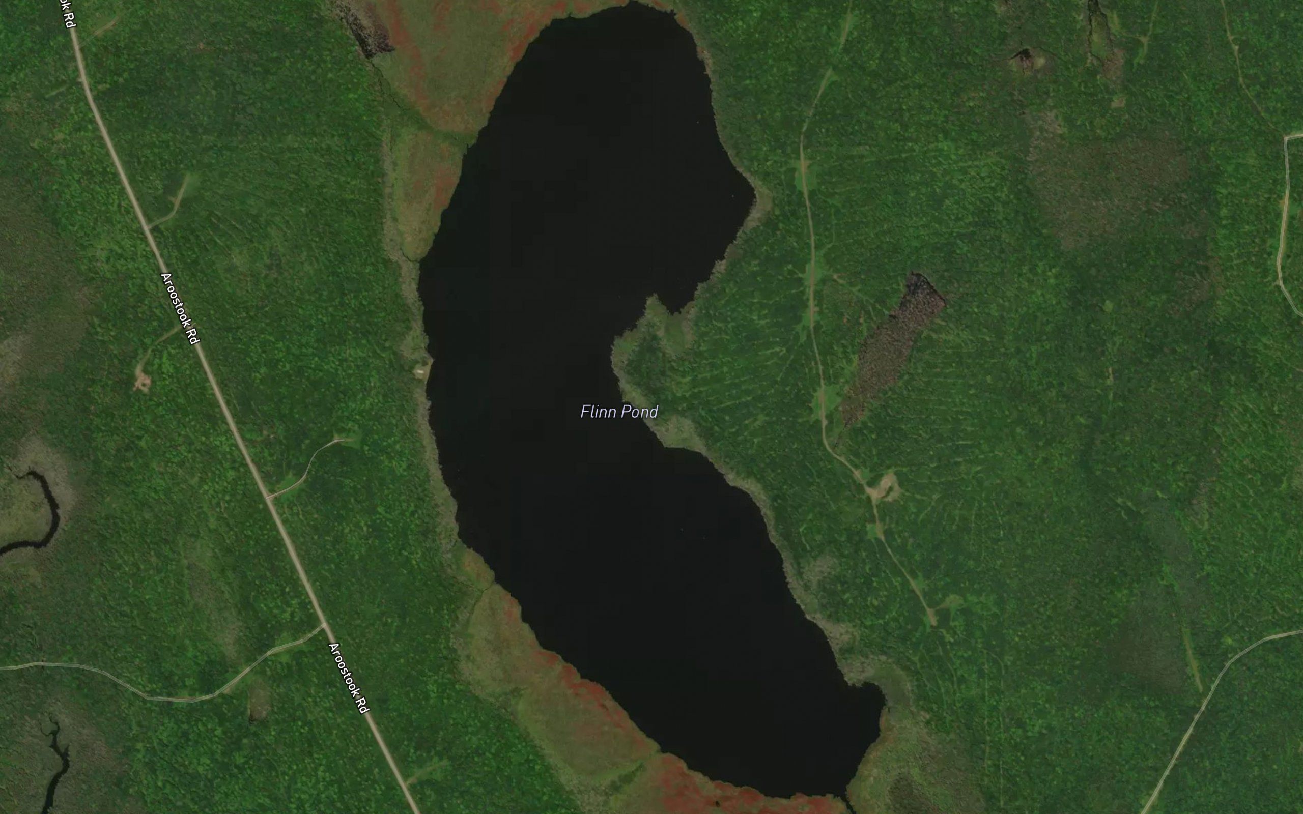Flinn Pond
