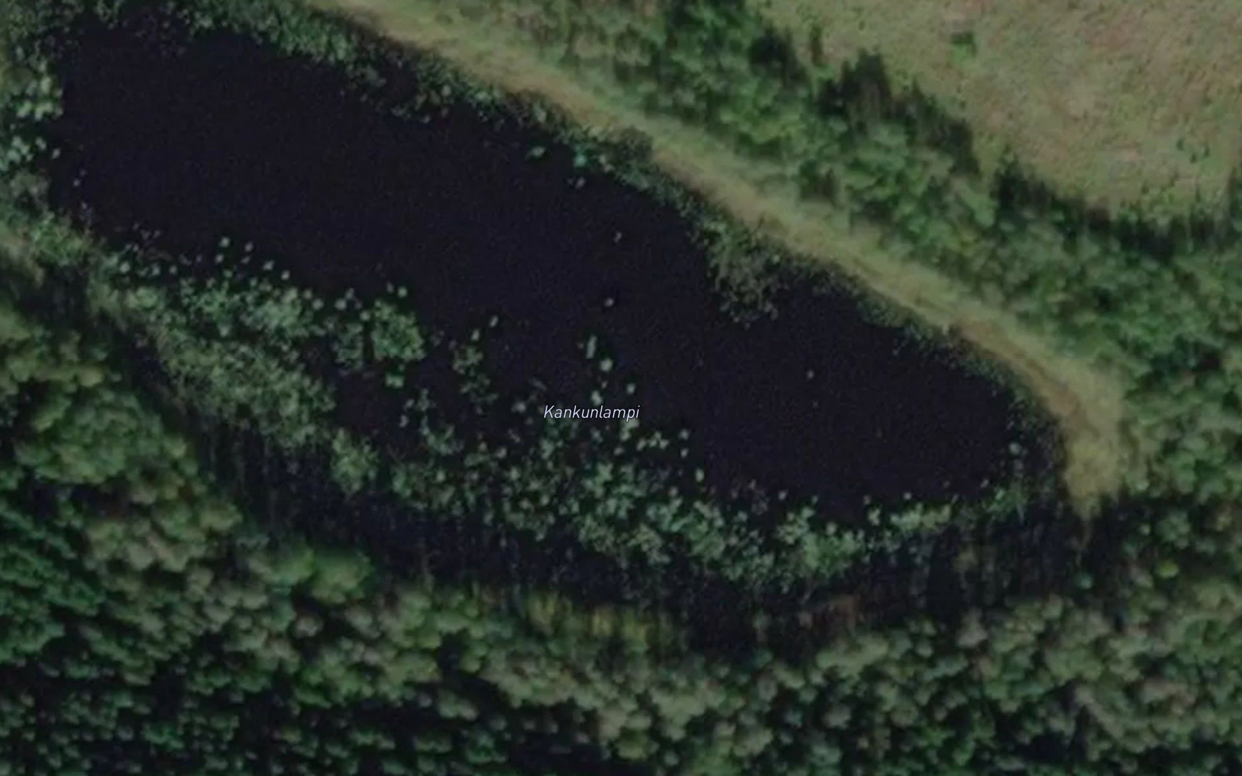 Kankunlampi