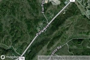 Big Chalybeate Spring