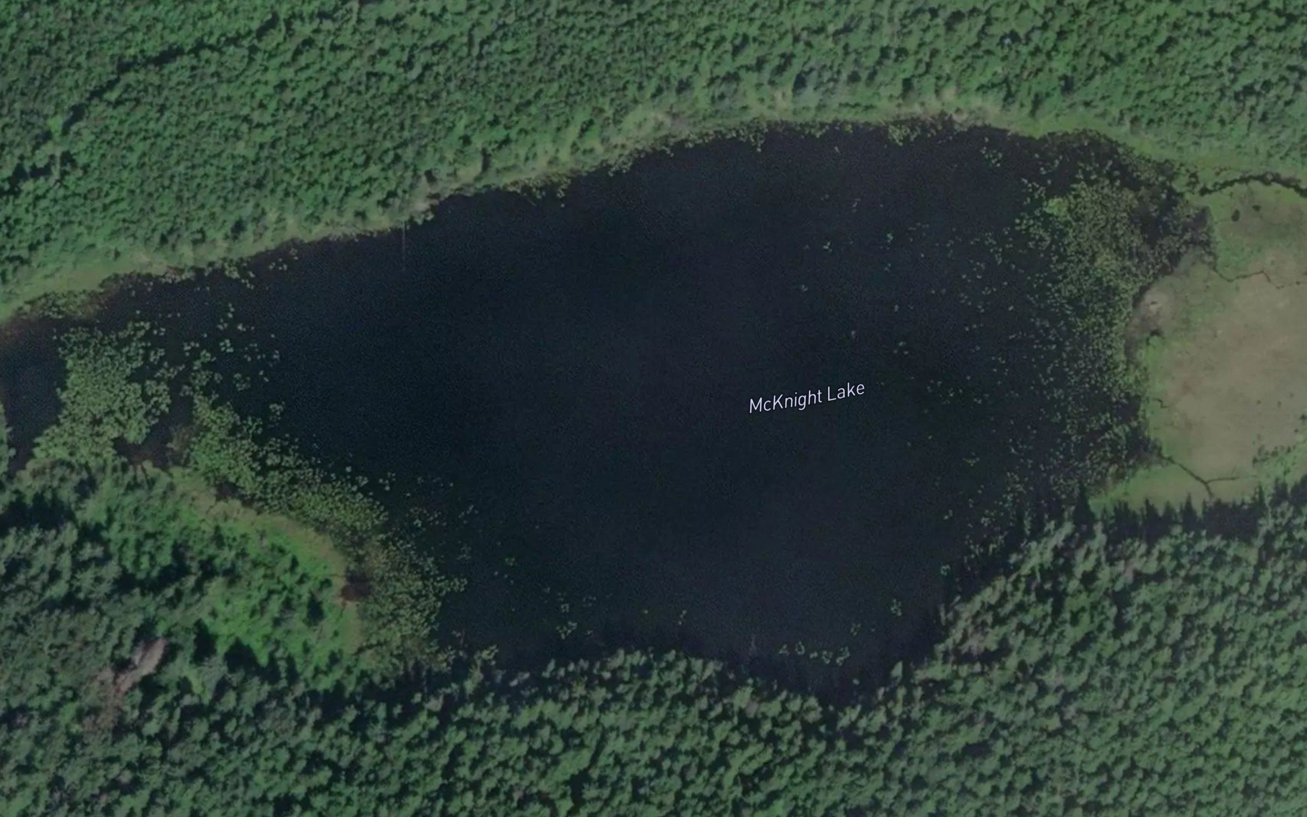 McKnight Lake