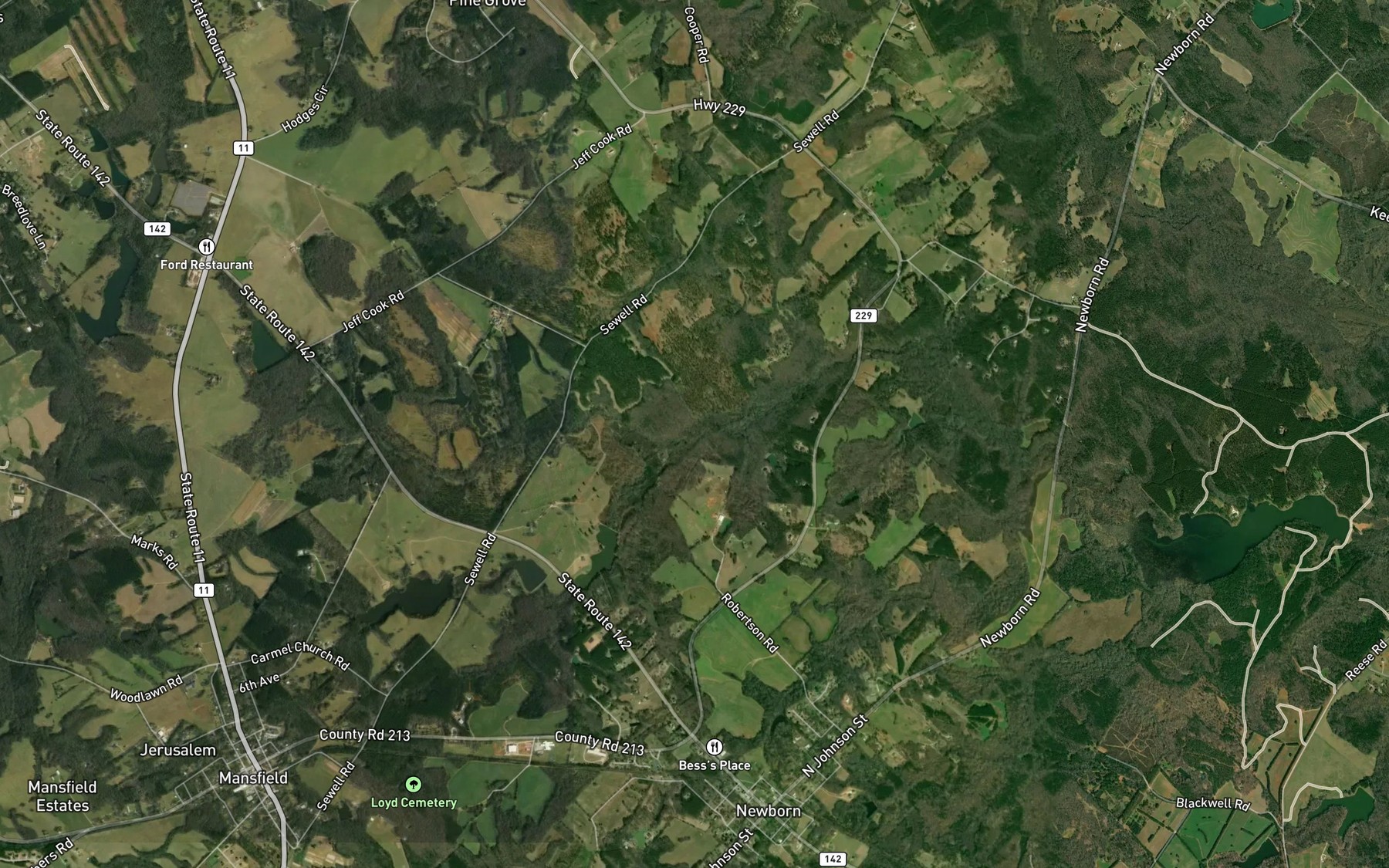 Satellite map of the Patrick Branch