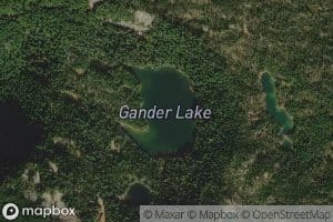 Gander Lake