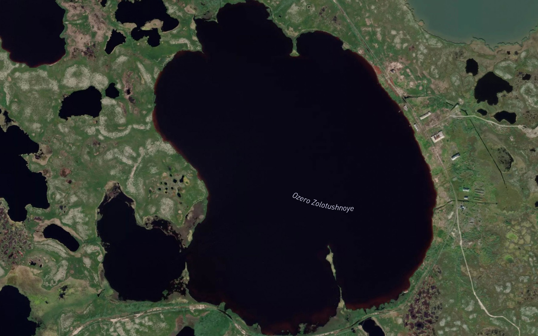 Satellite map of the Ozero Zolotushnoye