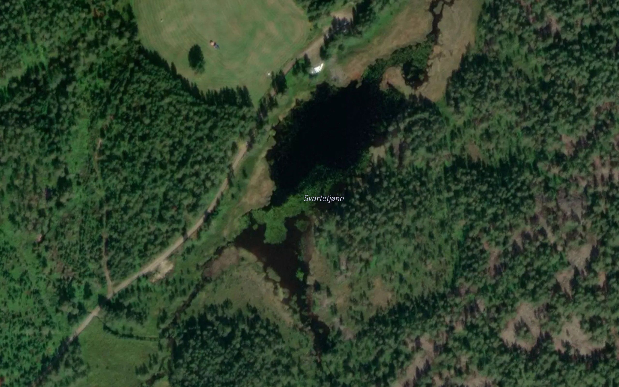 Svartetjonn