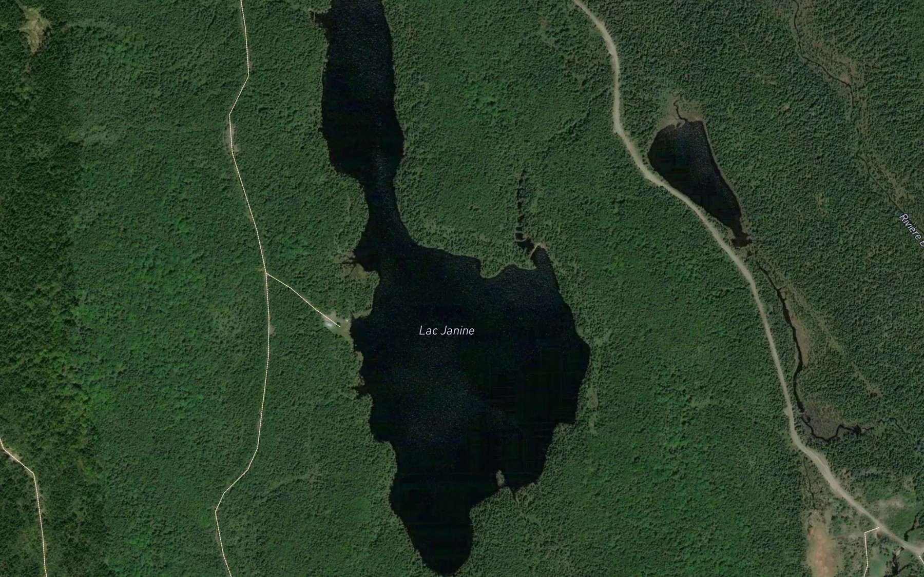Satellite map of the Lac Janine
