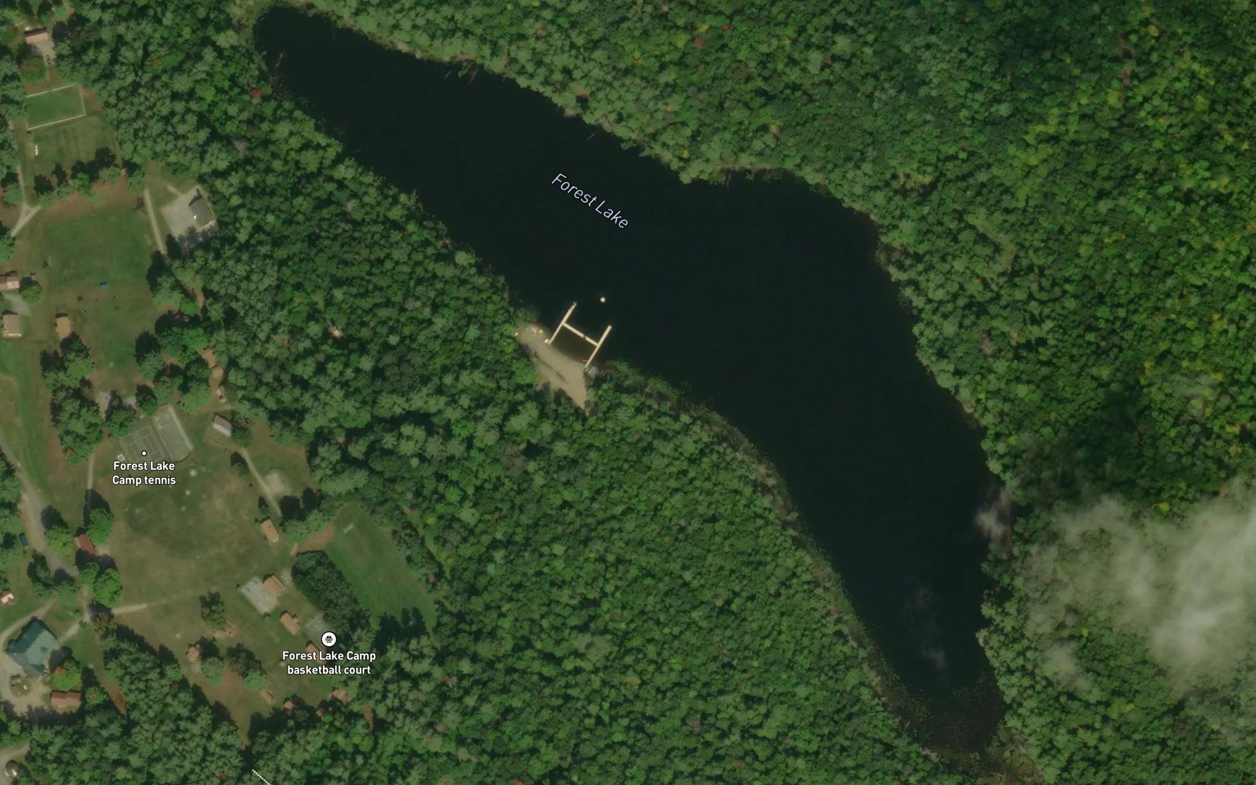 Forest Lake