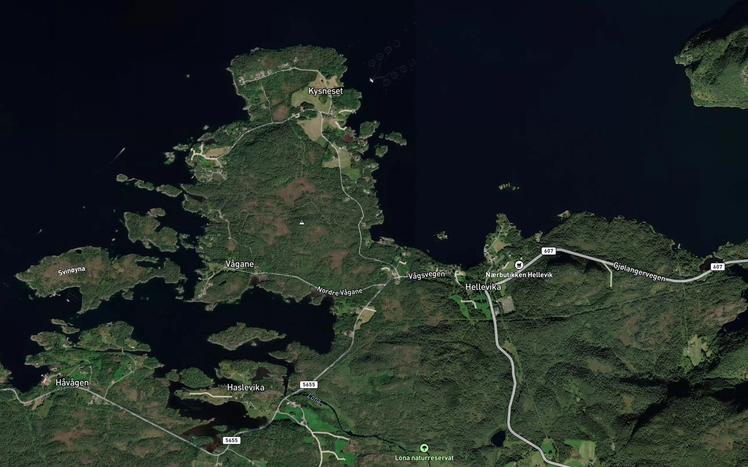Verpingsvagen