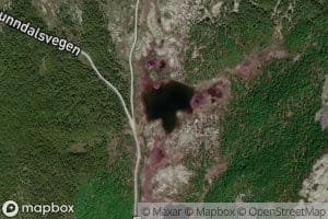 Moskardtjornan