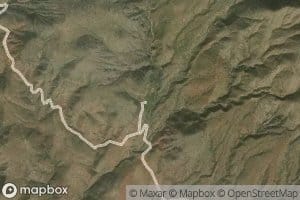 Tussock Spring
