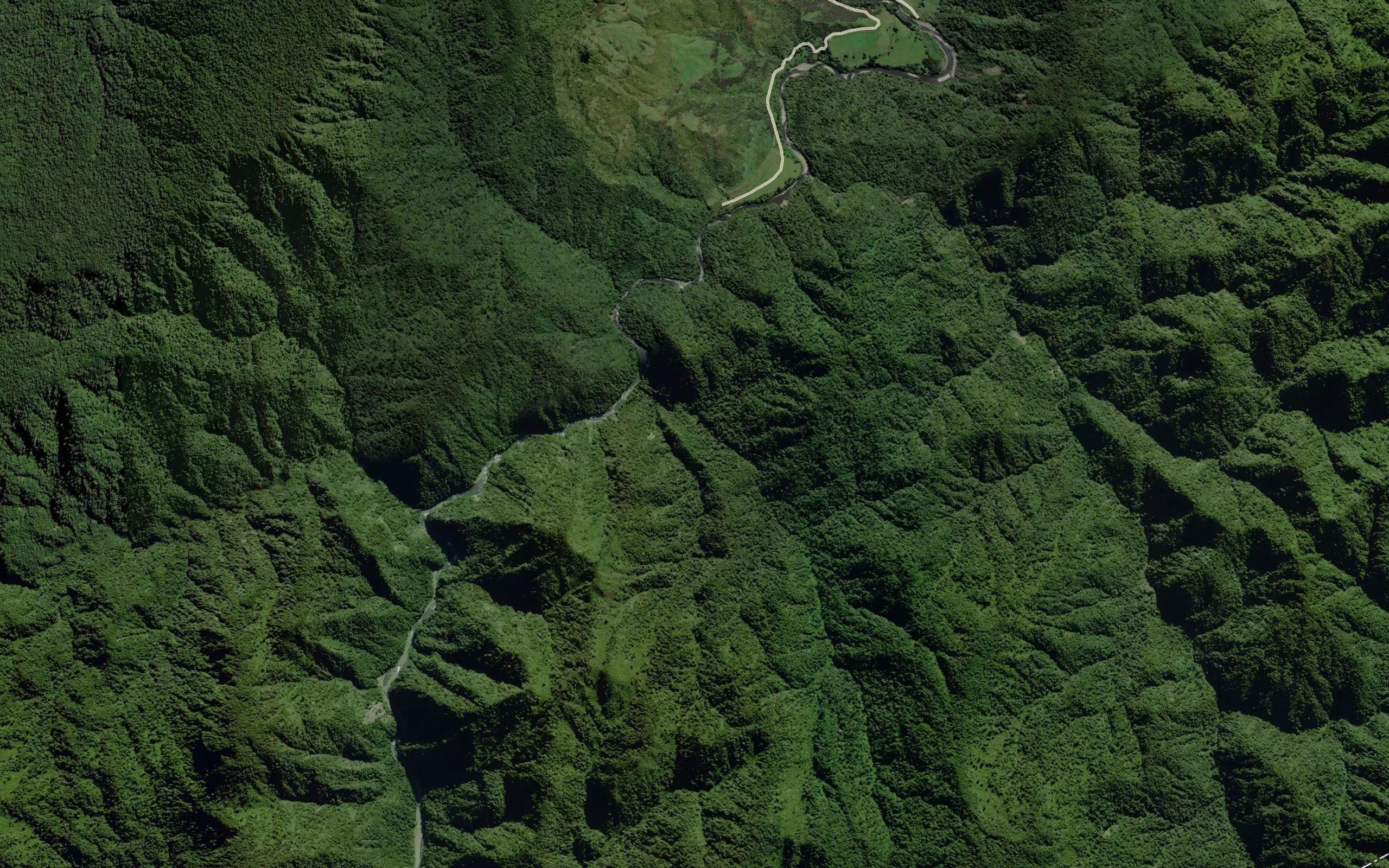 Okarewa Stream