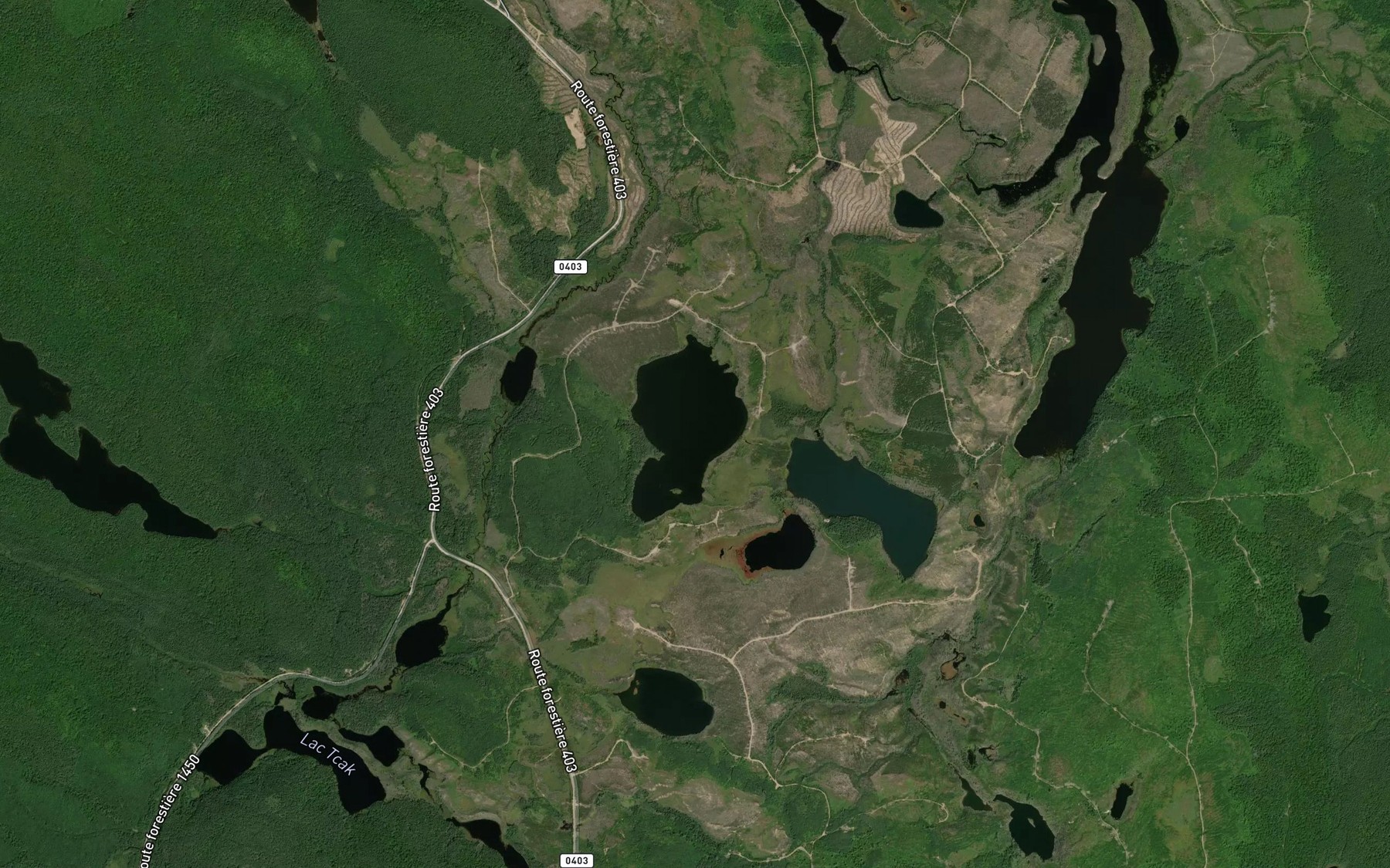Satellite map of the Lac Kamokwocik