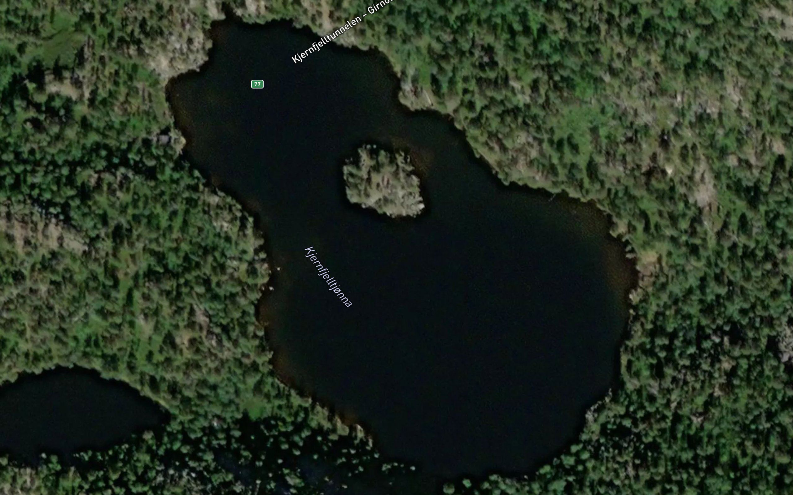 Kjernfjelltjonna