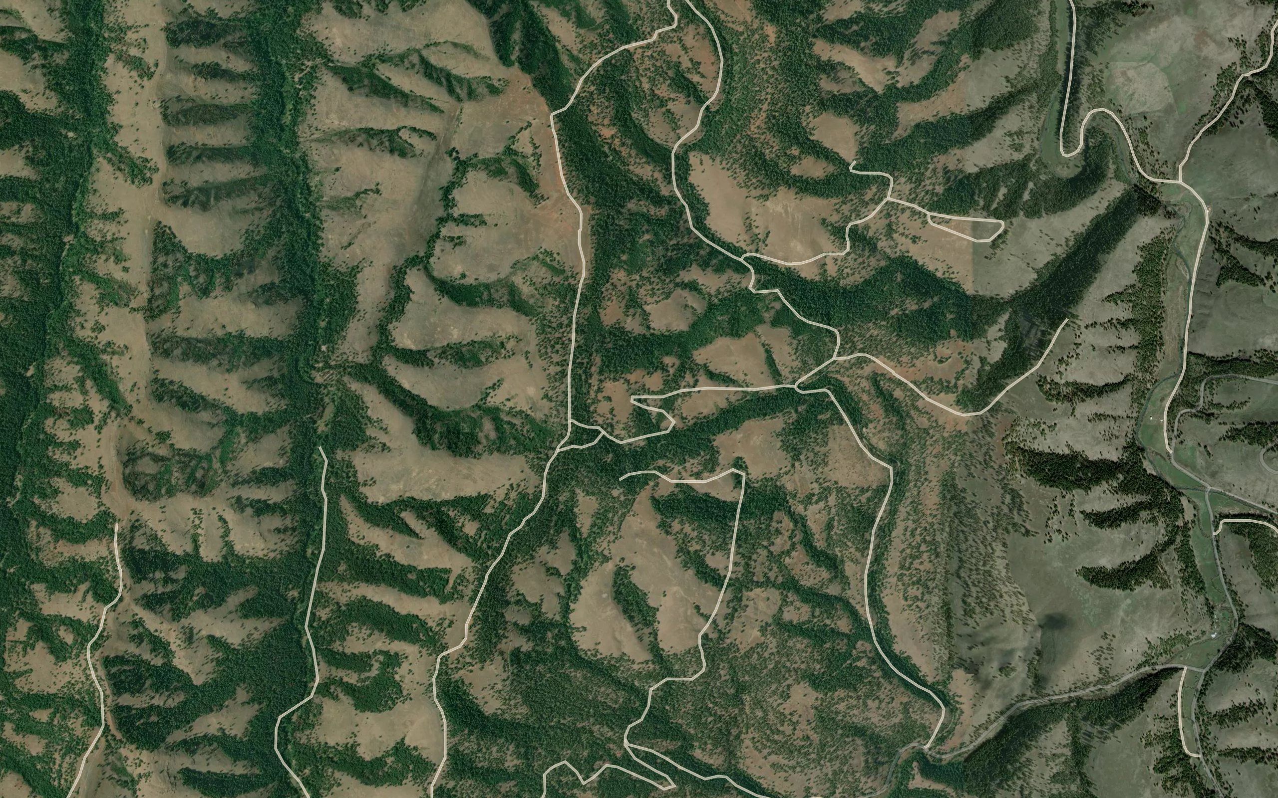 Twin Spring