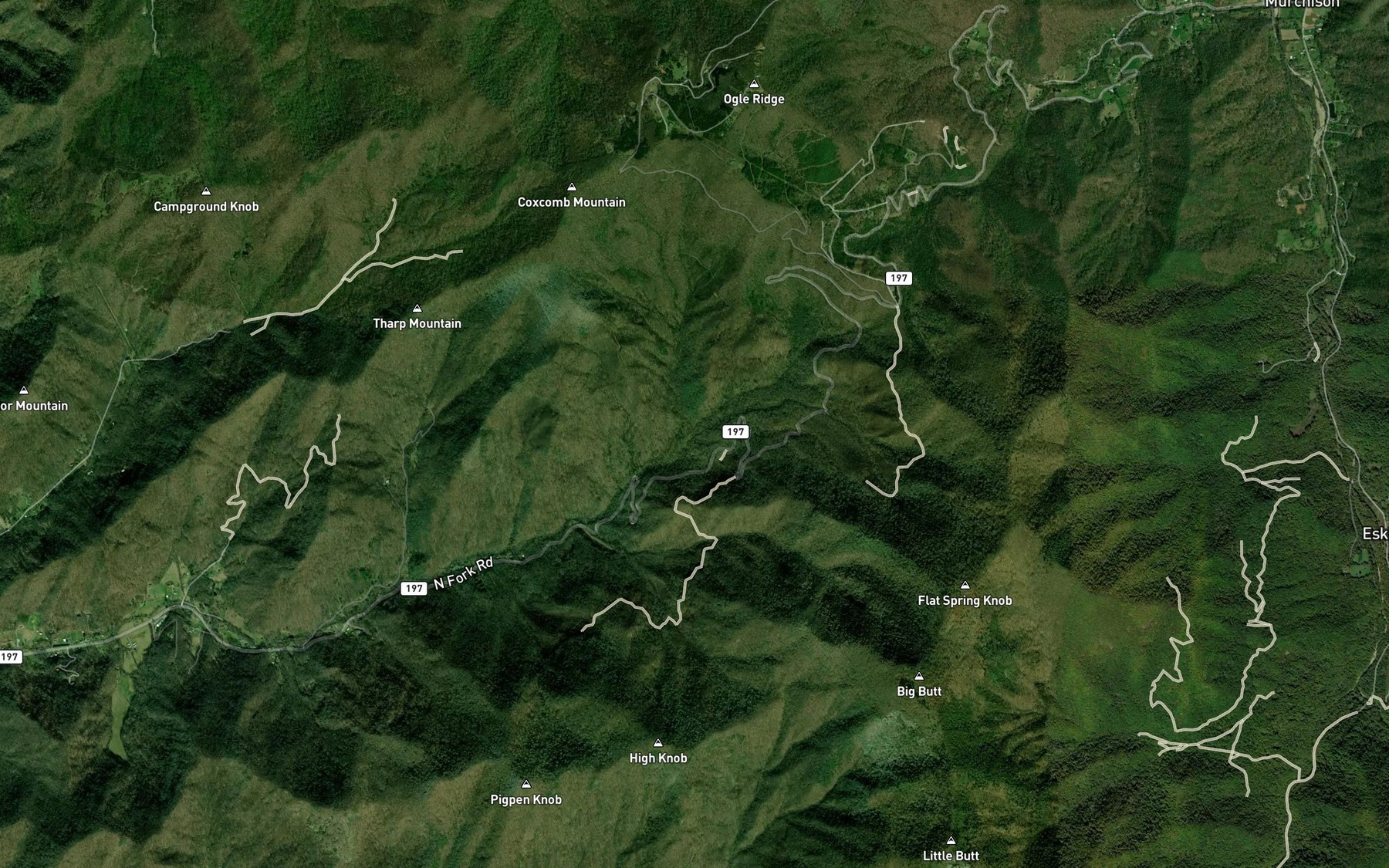 Satellite map of the Ogle Branch