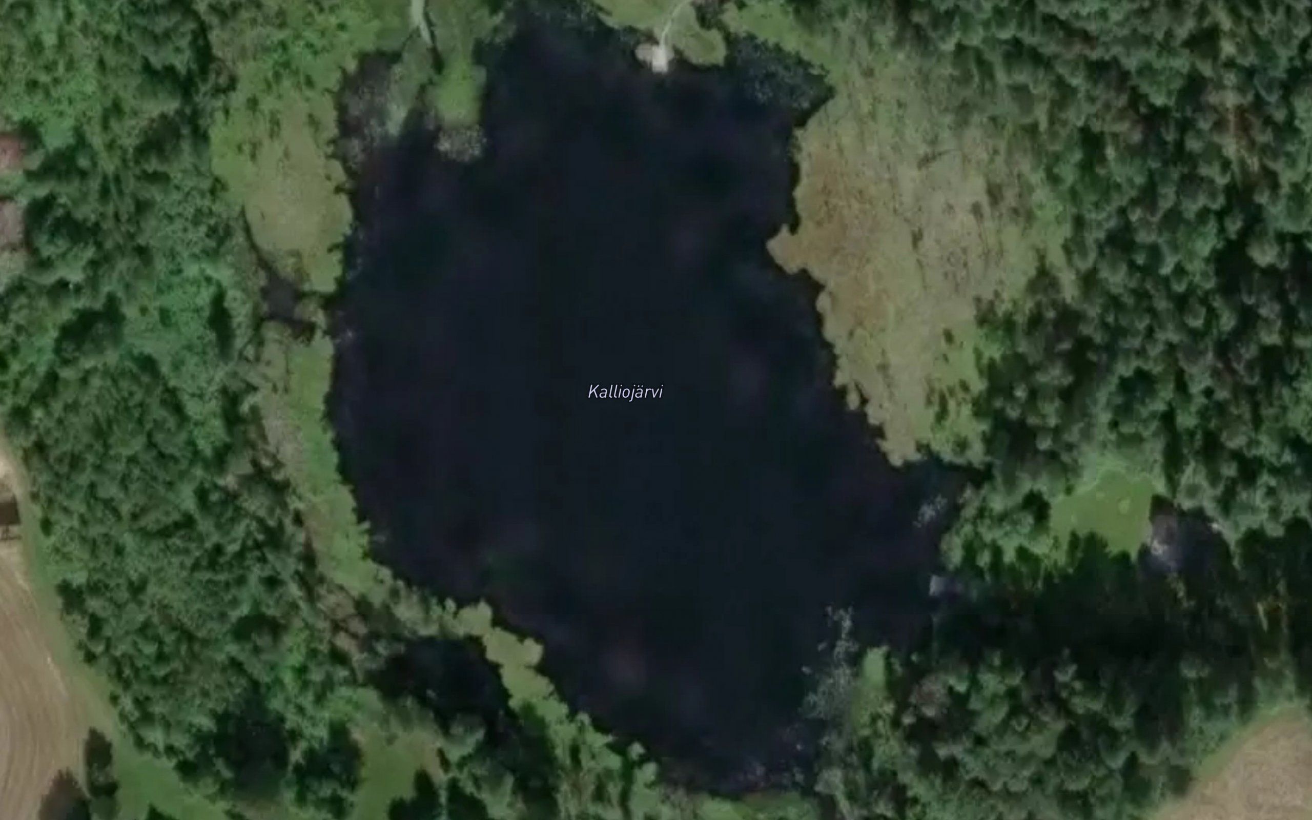 Kalliojarvi