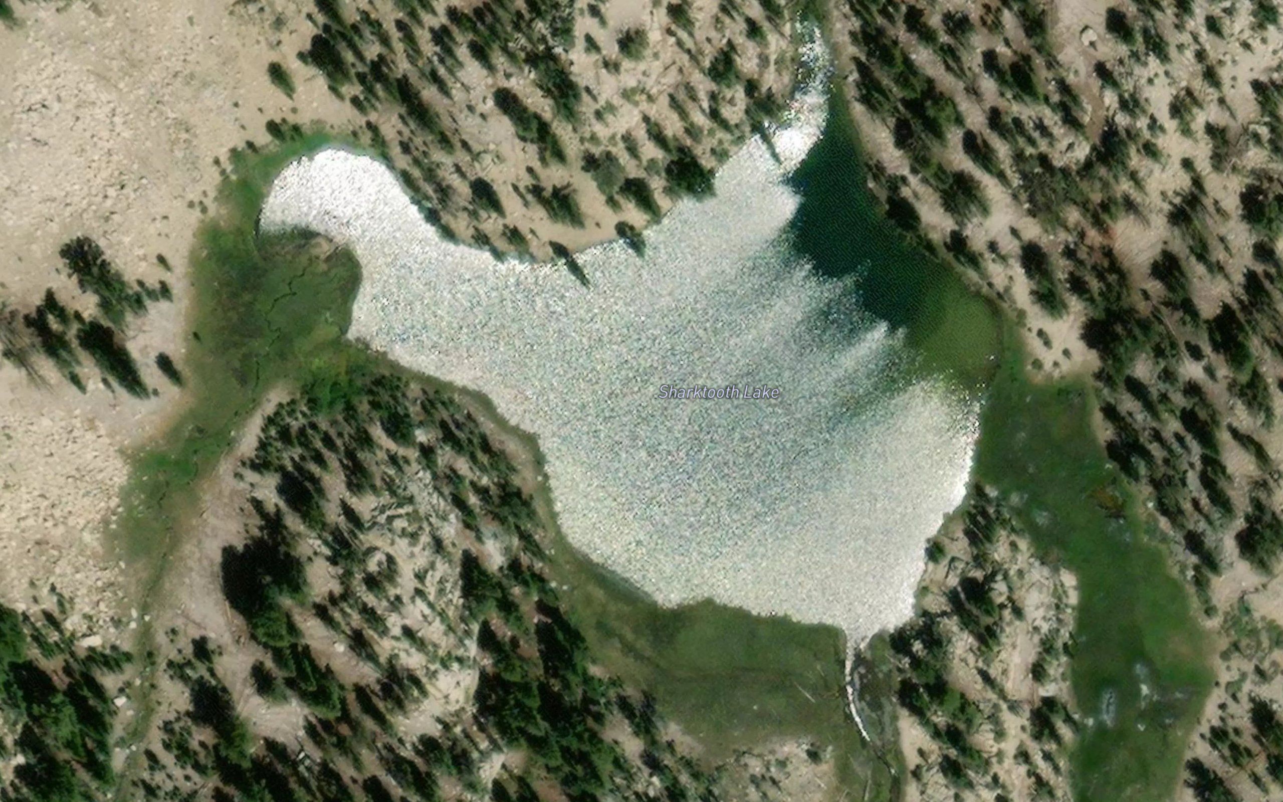 Sharktooth Lake
