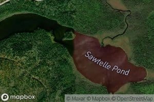 Sawtelle Pond