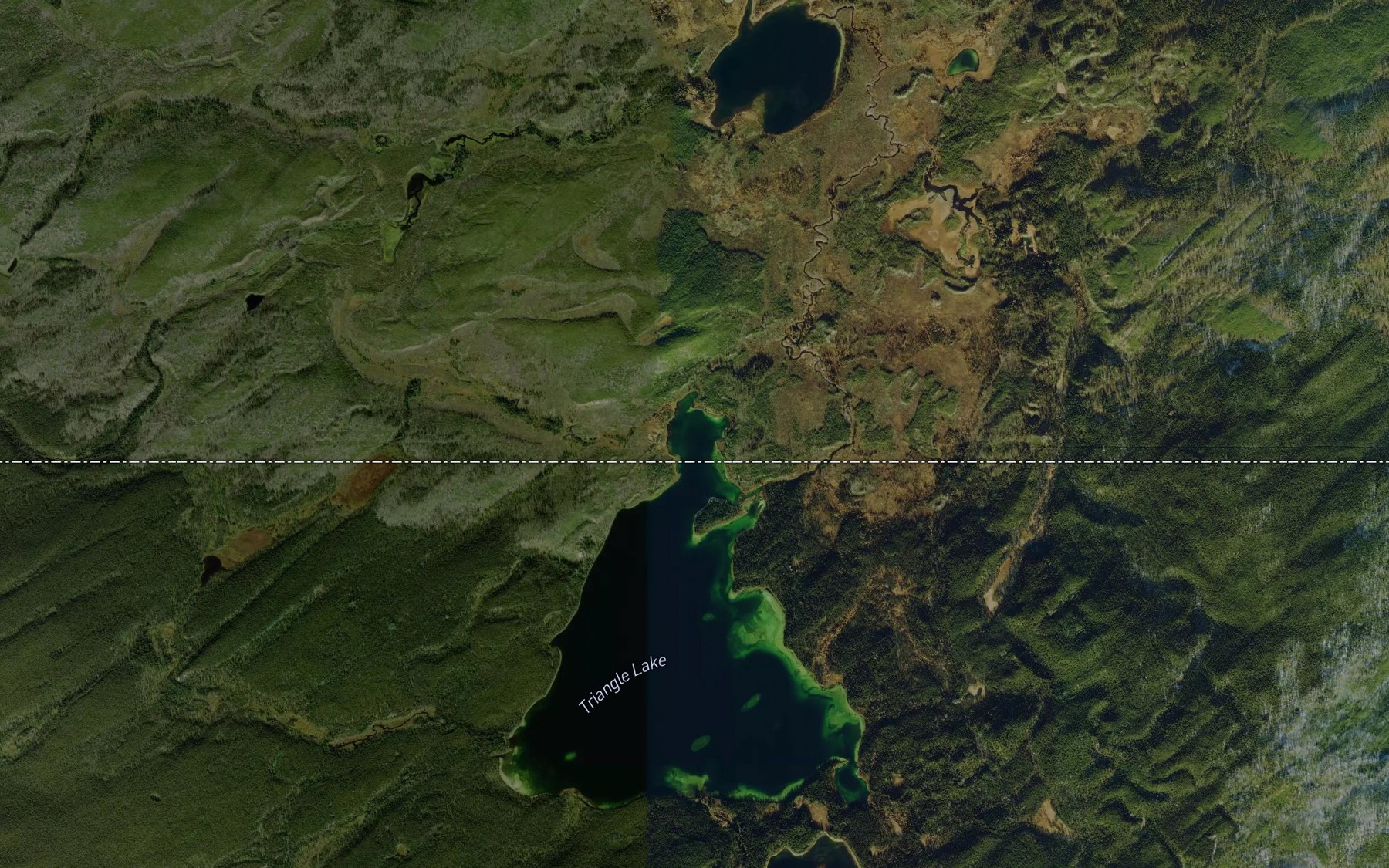 Satellite map of the Triangle Lake