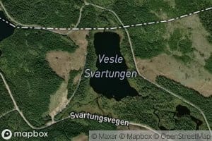 Vesle Svartungen