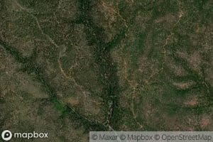 Yellow Jacket Spring