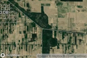 One Left Distributary